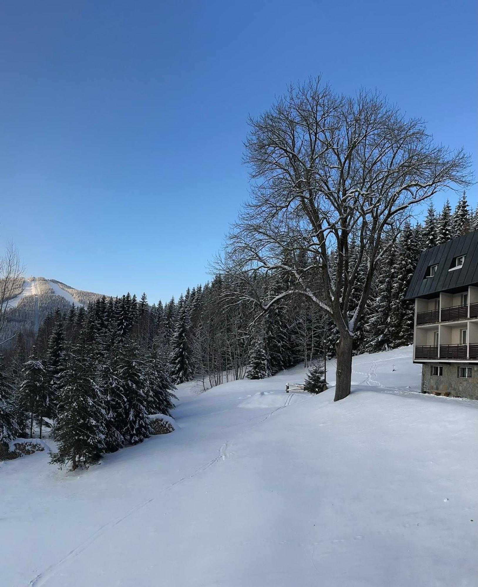 Hotel Horní Pramen Spindleruv Mlyn Exterior foto